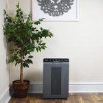 Best 4 Plasma Air Purifier Models For Sale In 2020 Reviews