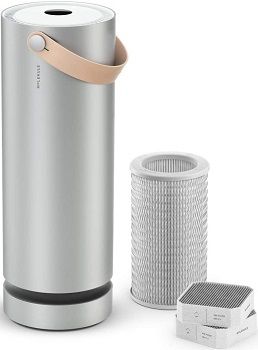 Molekule Air Purifier For Mold review