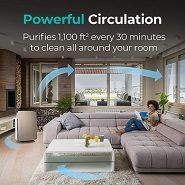 Best 5 Air Purifiers For Large Rooms To Get In 2022 Reviews