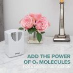 Best 5 Filterless Air Purifiers You Can Buy In 2020 Reviews